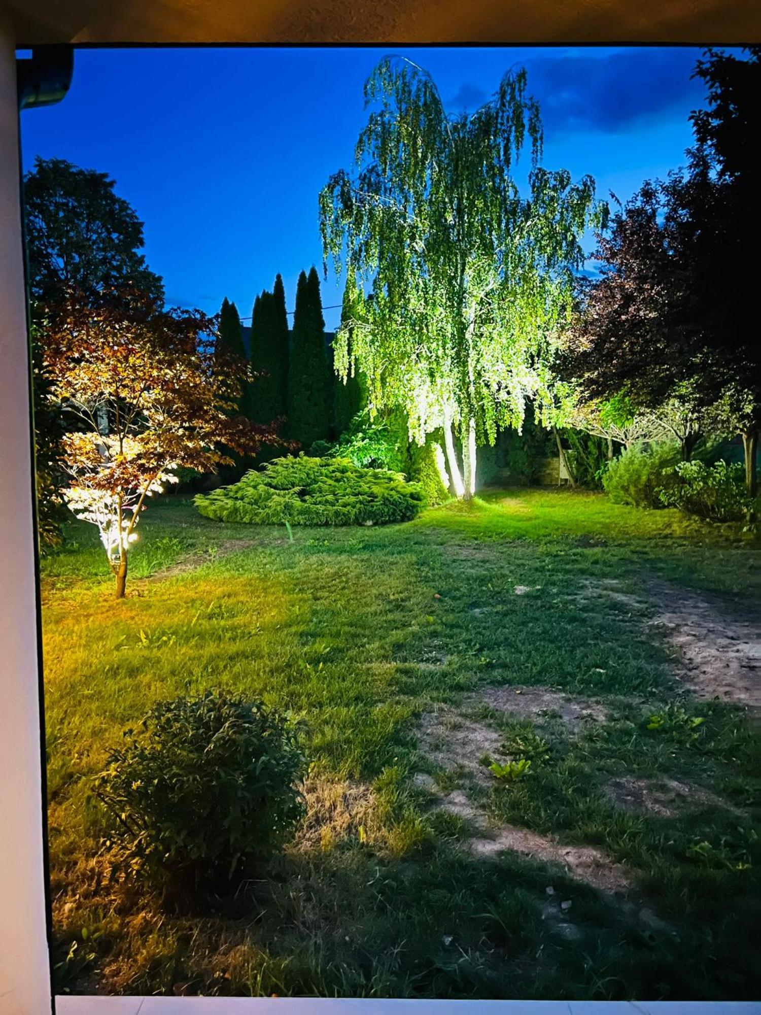 Villa Evie'S Tree House à Dragomirna Extérieur photo